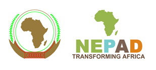 Nepad Logo