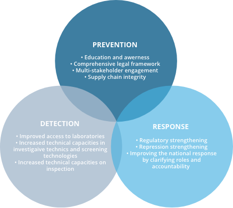 Schema Program Approach